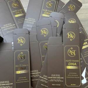 Hộp Giấy Thông Thường Hộp Giấy Thông Thường - Ảnh 6